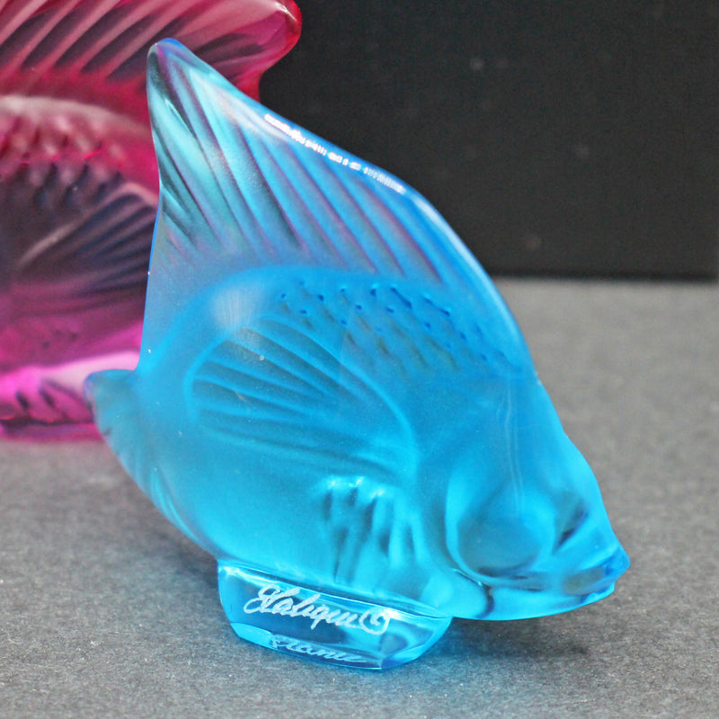 New Lalique: Light blue fish seal/sculpture