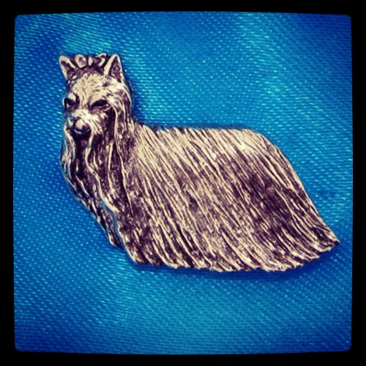 Yorkshire Terrier Brooch pin Badge