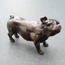 Pig - bronze sculpture by Edward Waites