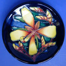 Moorcroft Panache Coaster