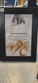 Multiple Items from Cabinet 35