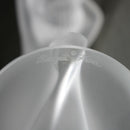 Lalique "Chrysis" sculpture/car mascot/paperweight
