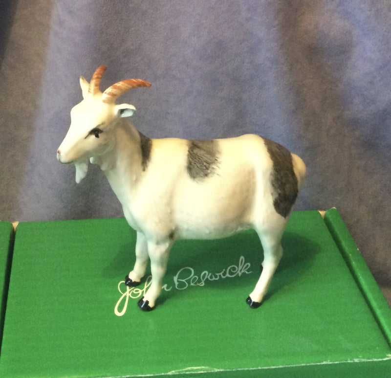 Beswick Goat Nigerian Pot Bellied Pygmy - Goat