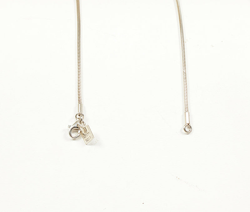 Silver Large Dolphin Pendant & Chain