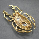 Stag beetle brooch