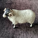 John Beswick Swaledale Ram Beswick sheep figurine John Beswick Limited Edition figurine