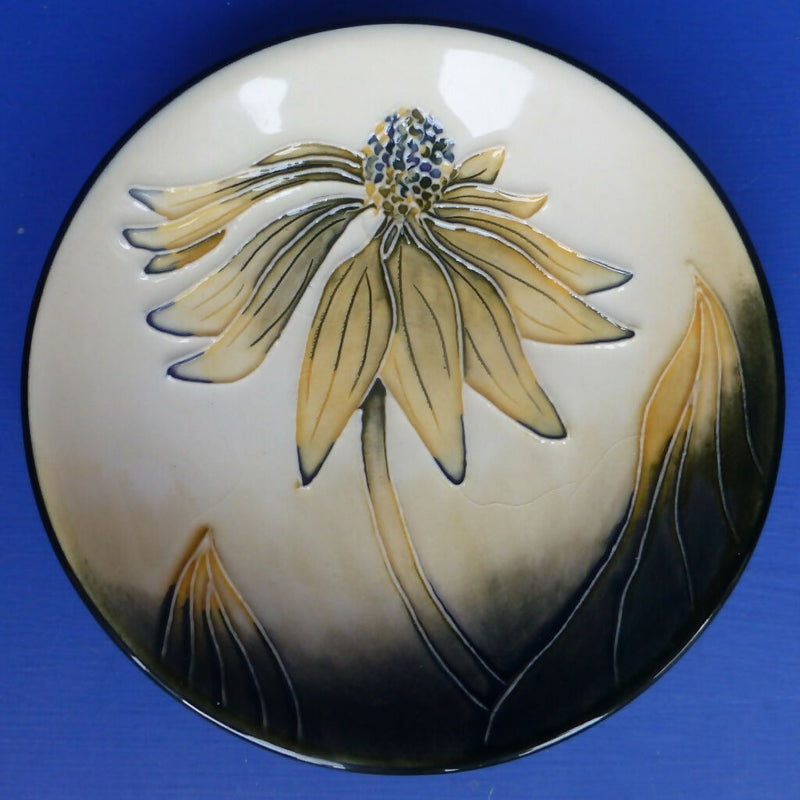 Moorcroft Coneflower