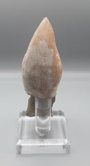 An Ancient Greek , Boeotian Region , Terracotta Statue Figure Of A Seated And Draped Goddess .