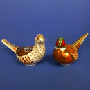 RCD Cock and Hen Pheasants