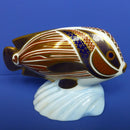 Royal Crown Derby Tropical Fish Paperweight Sweetlips