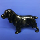 Beswick Cocker Spaniel Lucky Star of Ware