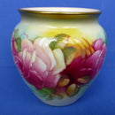 Worcester Roses Millie Hunt 1950