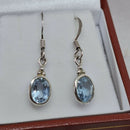 Silver & Blue Topaz Drop Earrings