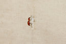 Silver & Amber Earring Studs