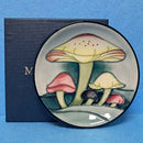 A Moorcroft Claremont Revival Pin Dish with Special Back Stamp