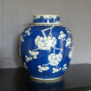 A 19th century Chinese blue & white porcelain ginger jar.