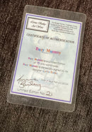 Lorna Bailey Cat Lorna Bailey Busy Mummy cat 2004 Lorna Bailey Limited edition cat