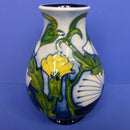 Moorcroft Vase - Rough Hawks Beard By Rachel Bishop