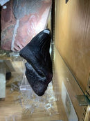 Megalodon Tooth (Reserved for Rachel)