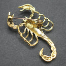Scorpion brooch