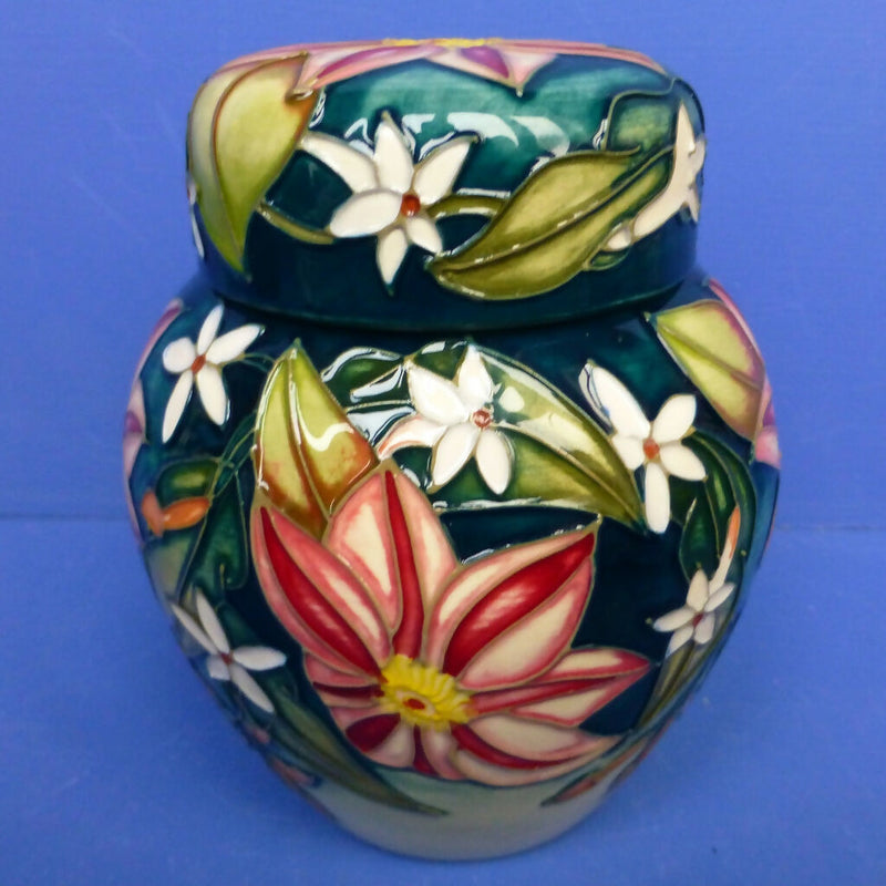 Moorcroft Ginger Jar Travellers Joy By Sian Leeper