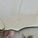 Vintage Silver Plate & Mother of Pearl Butter Knife