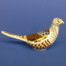 RCD Cock and Hen Pheasants 3