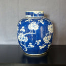 A 19th century Chinese blue & white porcelain ginger jar.