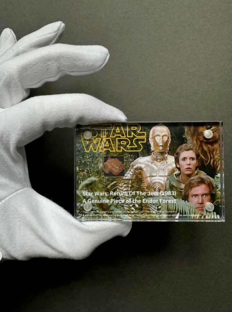 Star Wars: Return of the Jedi (1983) - A Production Piece of the Endor Forest