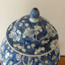A large 19th century Chinese porcelain blue and white vase