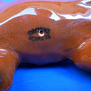 Beswick Large Fox 2 bs