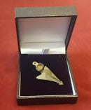 A Roman Ladies Bronze And Enamelled Fly Style Cloak Brooch.