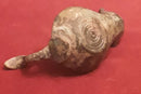 A Roman Bronze Ring Handled Oil Lamp.