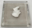 The Duke of Wellington, 19th Century Sulphide Portrait Profile Cut Glass Paperweight.
