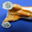 Royal Doulton Welsh Corgi Dog HN2559