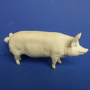 Bes White Pig Boy Matt