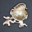 Robin brooch