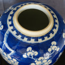 A 19th century Chinese blue & white porcelain ginger jar.