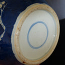 A 19th century Chinese blue & white porcelain ginger jar.