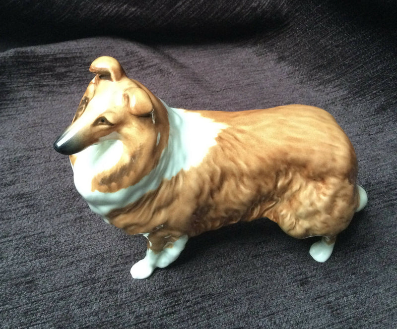 Beswick Collie Dog Beswick Gloss large Lassie dog Beswick lochinvar of ladypark dog model no 1791