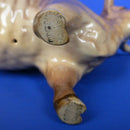 Veswick Highland Cow bs