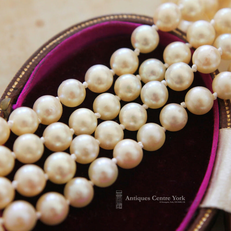 Double Row Cultured Pearls with Victorian 15ct Amethyst Clasp