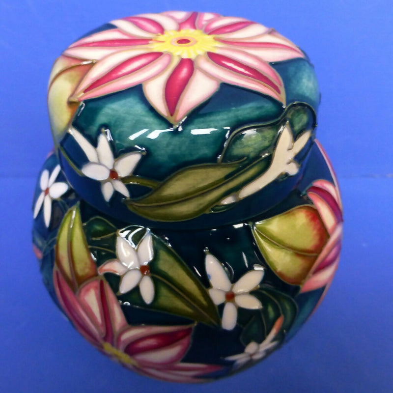 Moorcroft Ginger Jar Travellers Joy By Sian Leeper 2