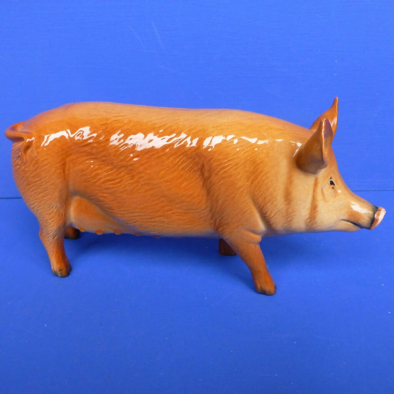 Royal Doulton Tamworth Pig DA215