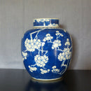 A 19th century Chinese blue & white porcelain ginger jar.
