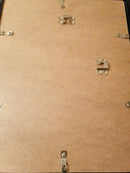 Signed Black Labrador Bone on Nose Print