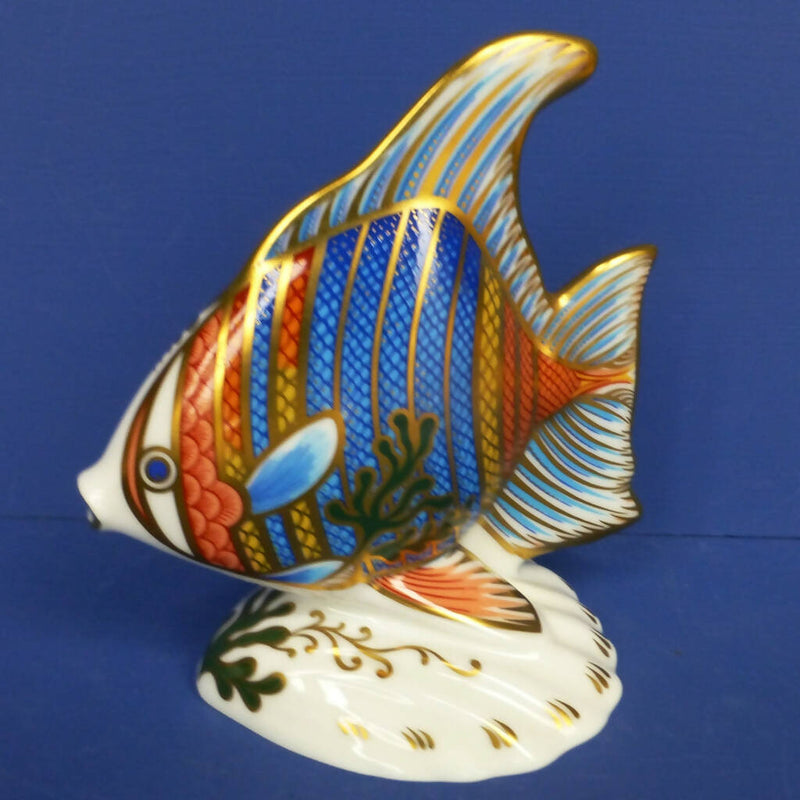 Royal Crown Derby Paperweight - Pacific Angel Fish