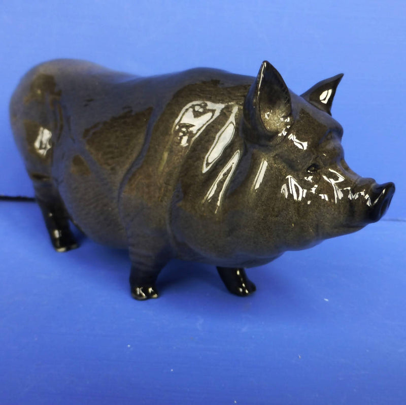 Royal Doulton Vietnamese Pot-Bellied Pig DA189