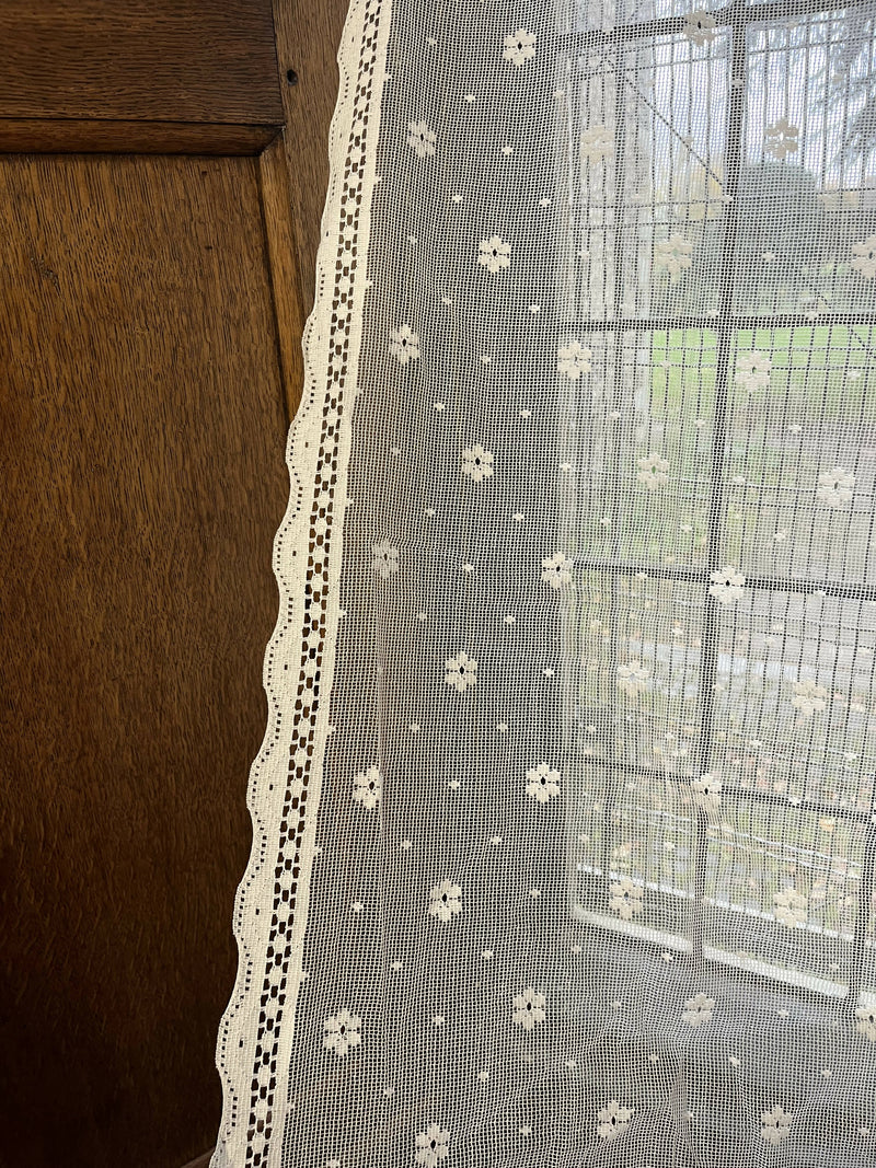 Daisy Design Lace Panel Remnant to finish in pure white 47"/70"
