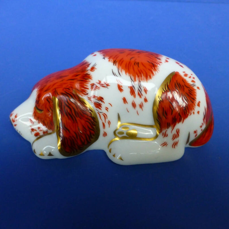 Royal Crown Derby Paperweight - Puppy
